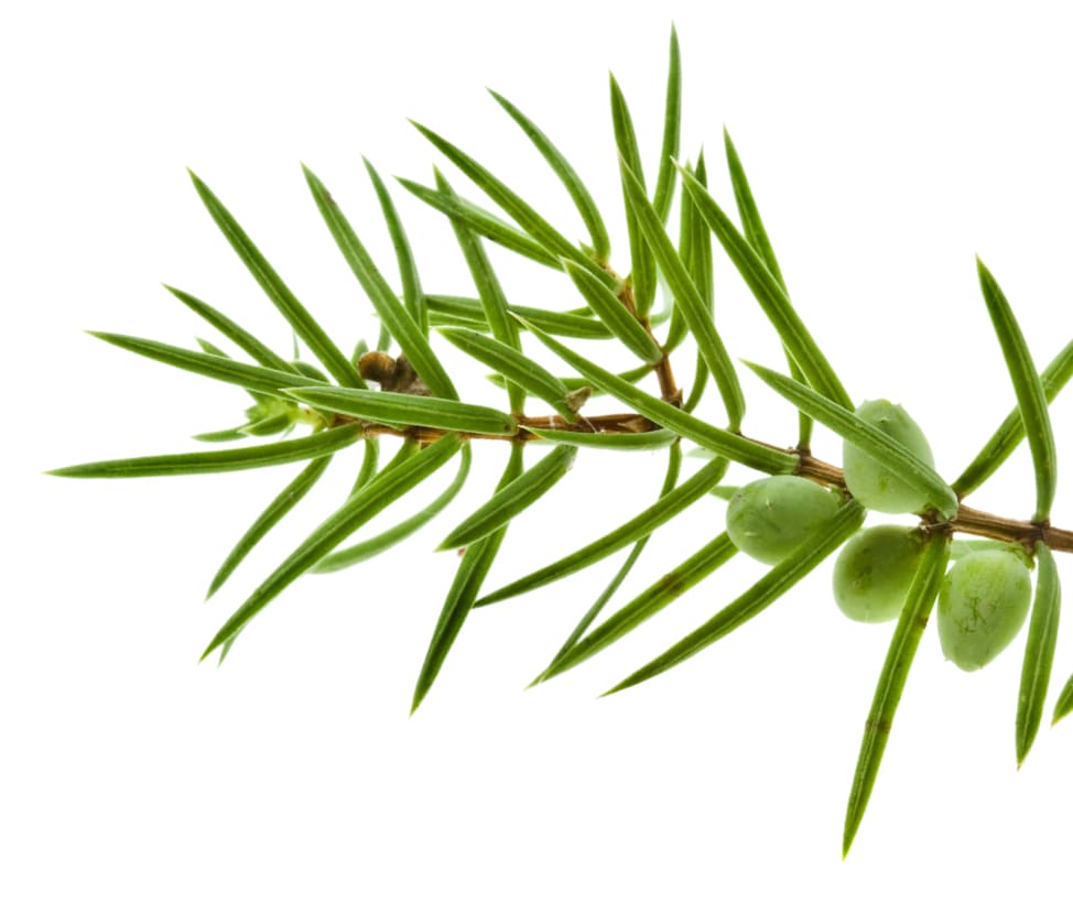 S+ Haircare kaadakamari