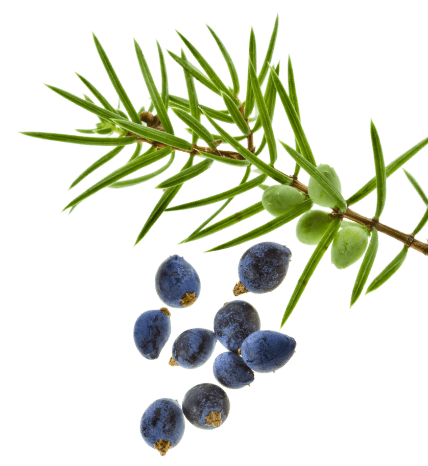 S+ Haircare kaadakamari