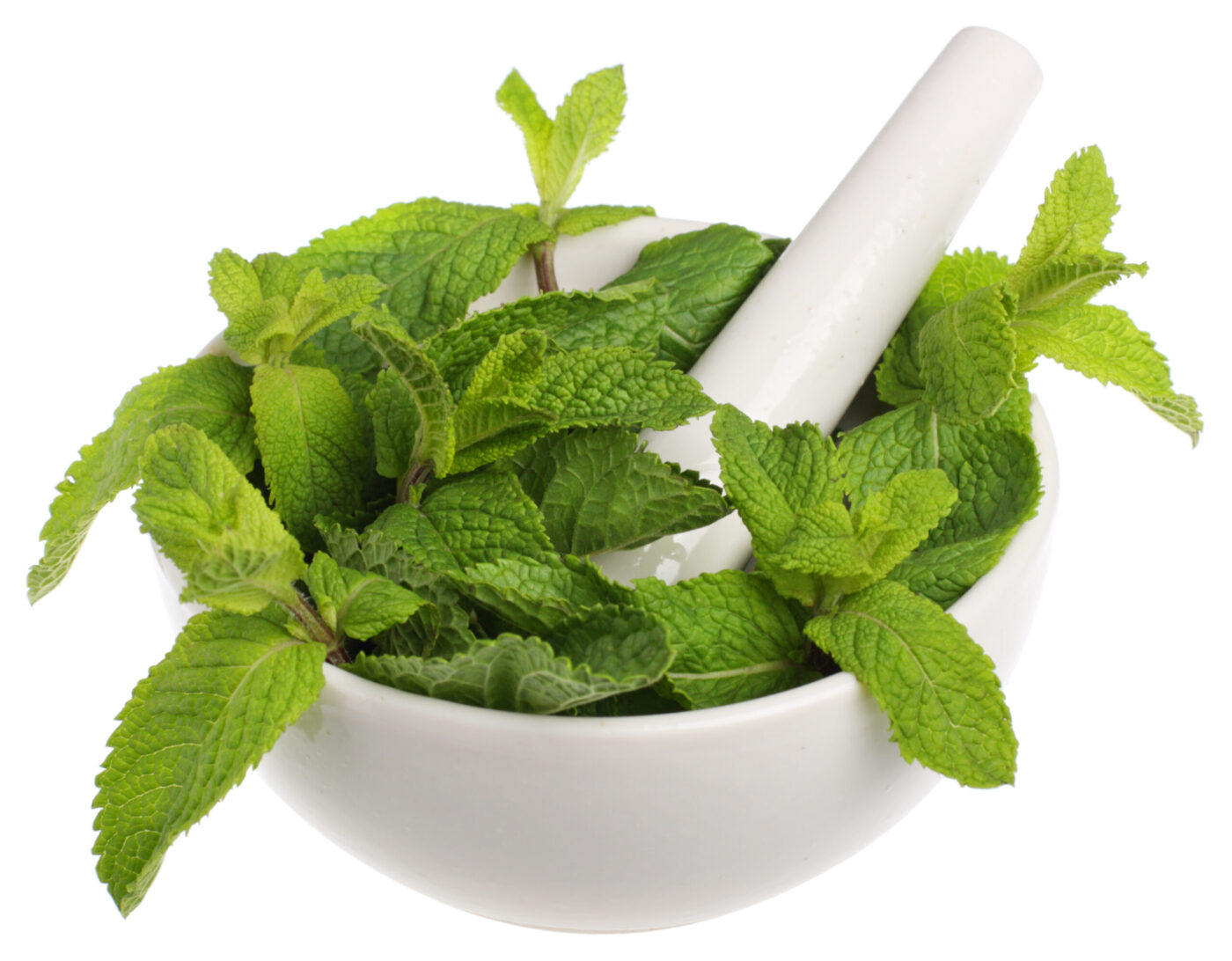 Mint in S+ Haircare products